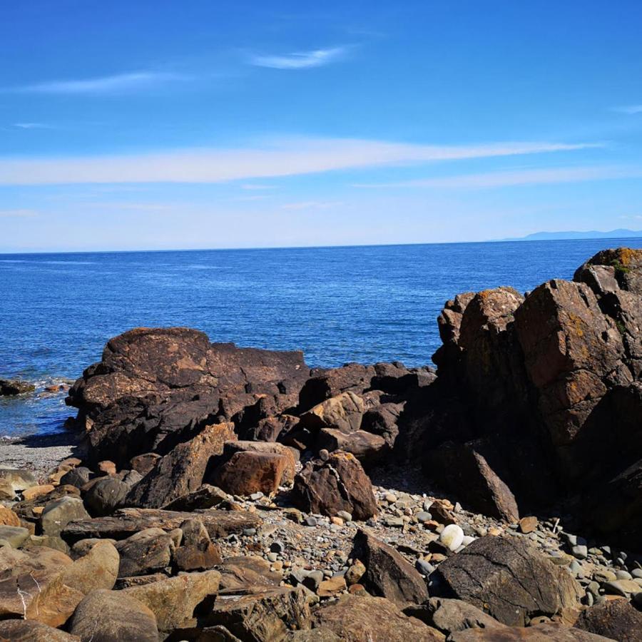 Castlewigg Holiday Park Whithorn 2 Bed Caravan 牛顿斯图尔特 外观 照片
